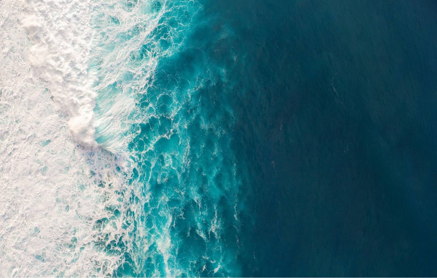 Overhead view of a wave crashing in the ocean