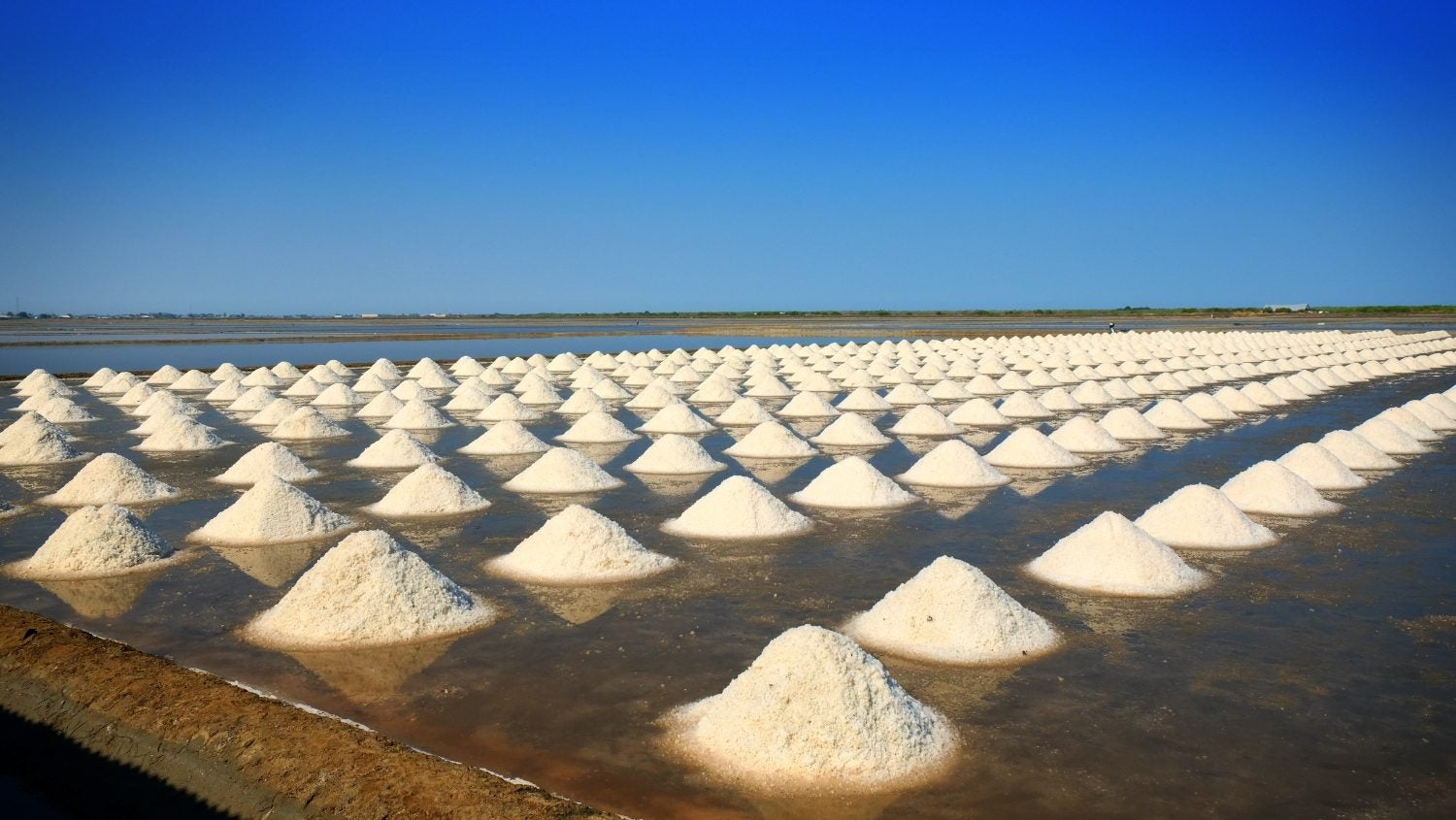 Wide-frame image of salt fields