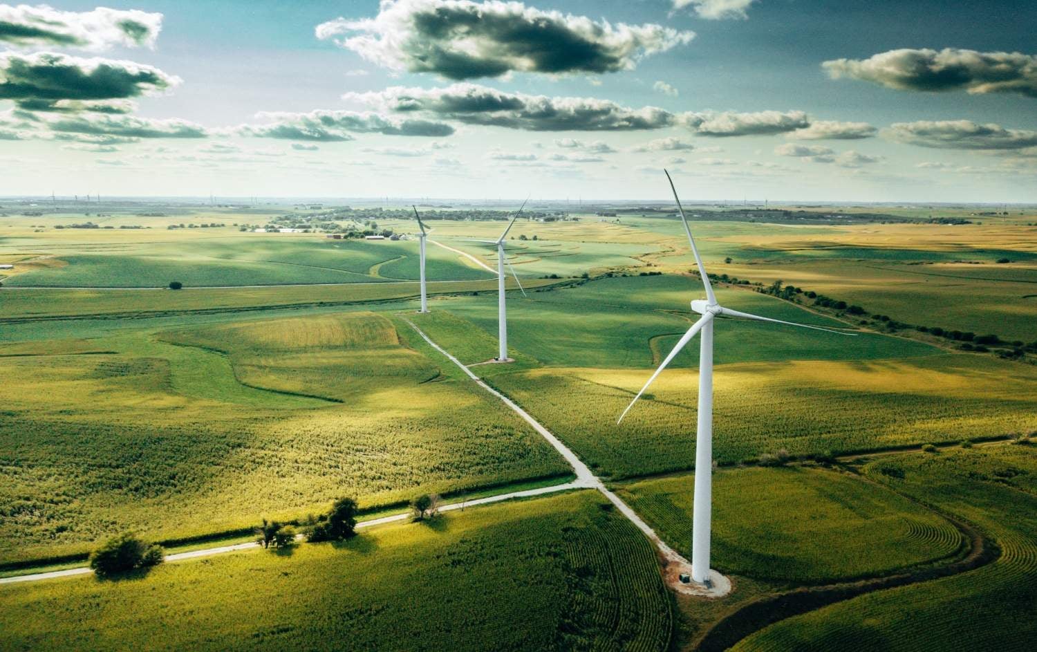 Wide-frame view of plains with windmills