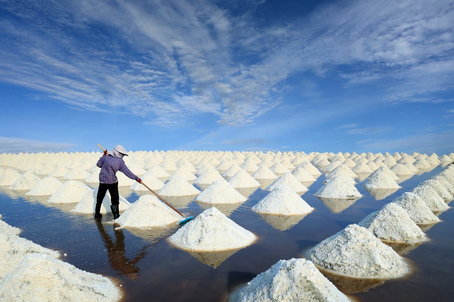 Agricultural worker in salt fields