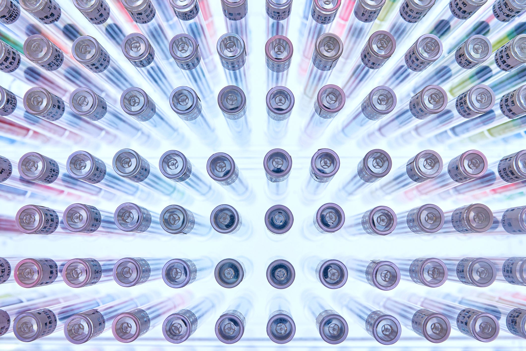 An overhead view of test tubes on a tray.