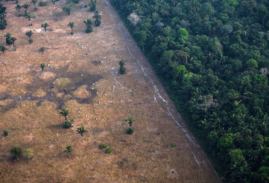 An example of deforestation, which could be tracked under supply chain sustainability management.