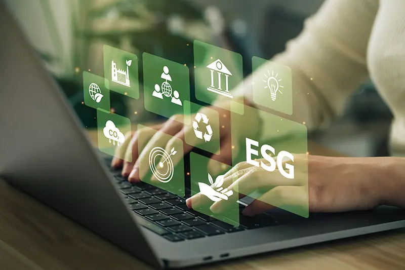 A manager using supply chain sustainability management software.