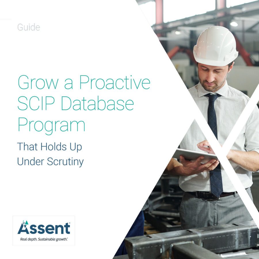 Waste Framework Directive, EU WFD, How to build a SCIP database program, Create a SCIP database program 