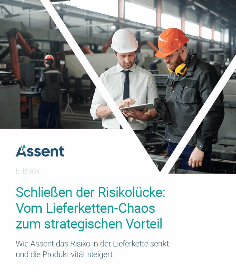 Schließen der Risikolücke: Vom Lieferketten-Chaos zum strategischen Vorteil