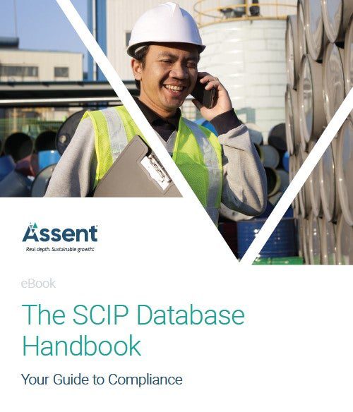 The SCIP Database Handbook.